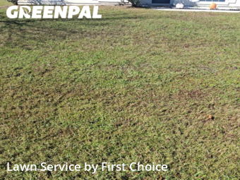 Lawn Cut nearby Palm Coast, FL, 
