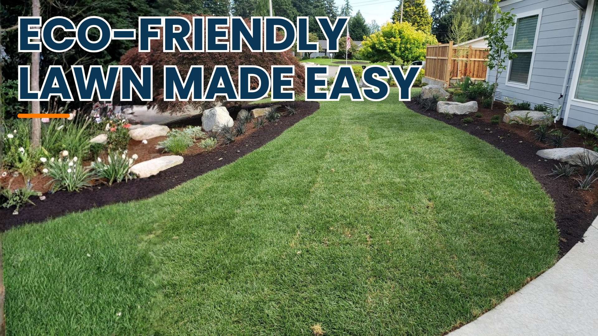 How to Create an Eco-Friendly Lawn (That's Easier to Maintain!)