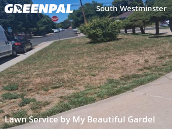 Yard Mowing nearby Westminster, CO, 