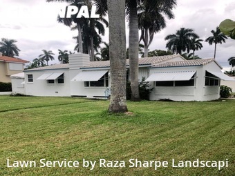 Grass Cut nearby Hollywood, FL, 