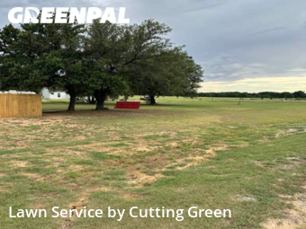 Grass Cut nearby Collinsville, TX, 