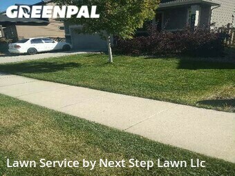 Yard Mowing nearby Timnath, CO, 