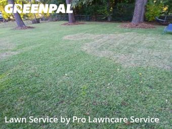 Lawn Service nearby Rocky Mount, NC, 