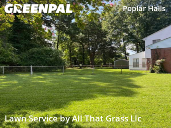 Grass Cut nearby Norfolk, VA, 