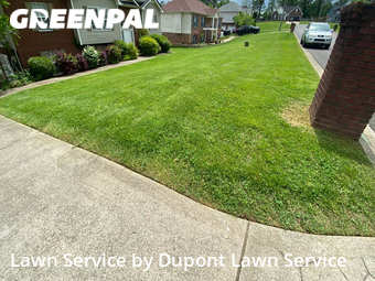 Yard Cutting nearby Clarksville, TN, 