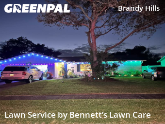 Yard Upkeep in Port Orange, 32129, Yard Work by Bennett’s Lawn Care , work completed in Dec , 2025