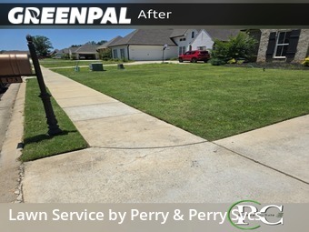 Lawn Cut nearby Canton, MS, 