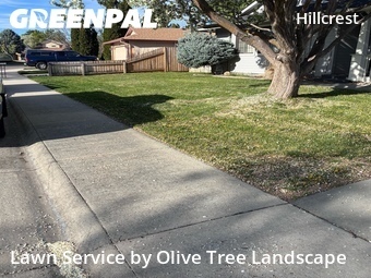 Lawn mowed in Boise, 83705