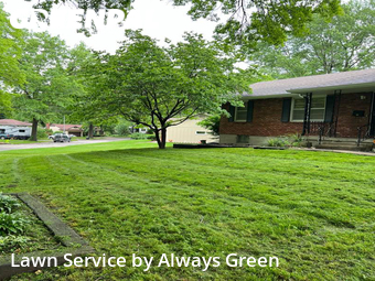 Lawn Mowing Service nearby Kansas City, MO, 