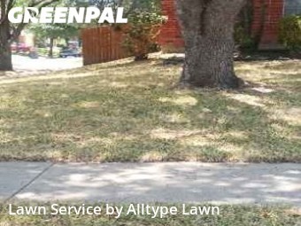 Lawn Cut nearby Fort Worth, TX, 