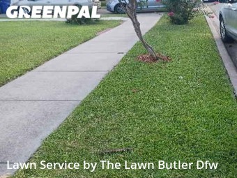 Lawn Mowing nearby Carrollton, TX, 