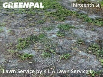 Lawn Service nearby St. Petersburg, FL, 