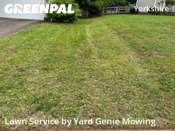 Lawn Cutting nearby Charlotte, NC, 