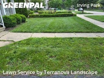 Lawn Work in Glen Ellyn, 60137, Grass Services by Terranova Landscape, work completed in Oct , 2025