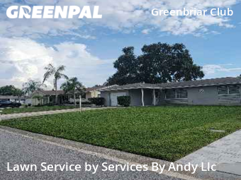 Grass Cut nearby Clearwater, FL, 