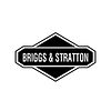 Briggs & Stratton