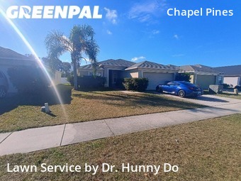 Lawn Cutting nearby Wesley Chapel, FL, 