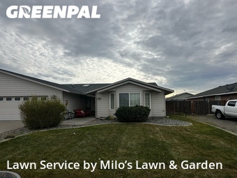 Lawn mowed in Pasco, 99301