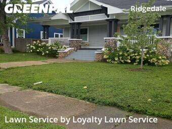 Lawn Cut nearby Chattanooga, TN, 