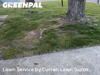 Lawn Mowing nearby St. Louis, IL, 