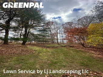 Lawn Care Service nearby Media, DE, 