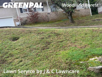 Lawn Maintenancein Nashville,37209,Lawn Care Service by J & C Lawncare, work completed in Dec , 2025
