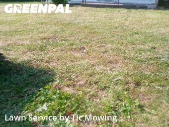 Lawn Care nearby Decatur, IL, 