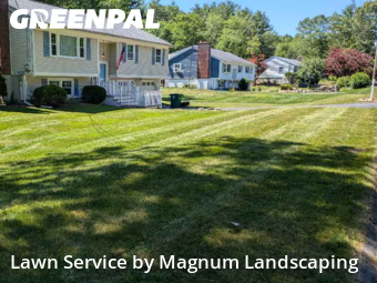 Yard Management in Nashua, 3062, Landscaping Maintenance by Magnum Landscaping , work completed in Nov , 2025