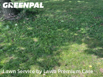 Yard Mowing nearby Bellevue, NE, 