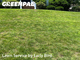 Yard Cutting nearby Matthews, NC, 