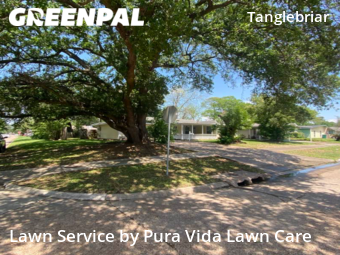 Lawn Cutting nearby Pasadena, TX, 