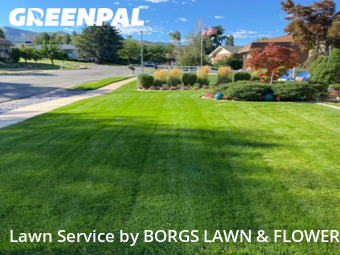 Yard Mowing nearby Bountiful, UT, 