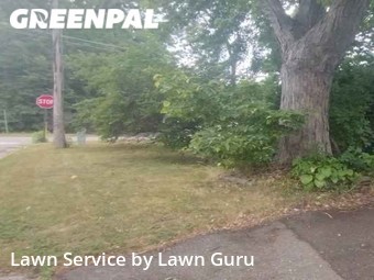 Lawn Care Service nearby Minneapolis, MN, 