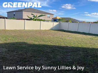 Weekly Mowing in Sun City Center, 33573, Backyard Mowing by Sunny Lillies & Joy , work completed in Dec , 2025