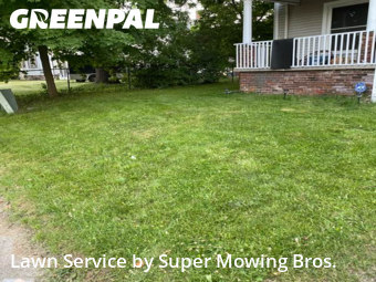 Grass Cut nearby Lansing, MI, 