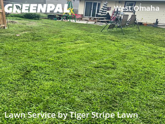 Lawn Cut nearby Omaha, NE, 