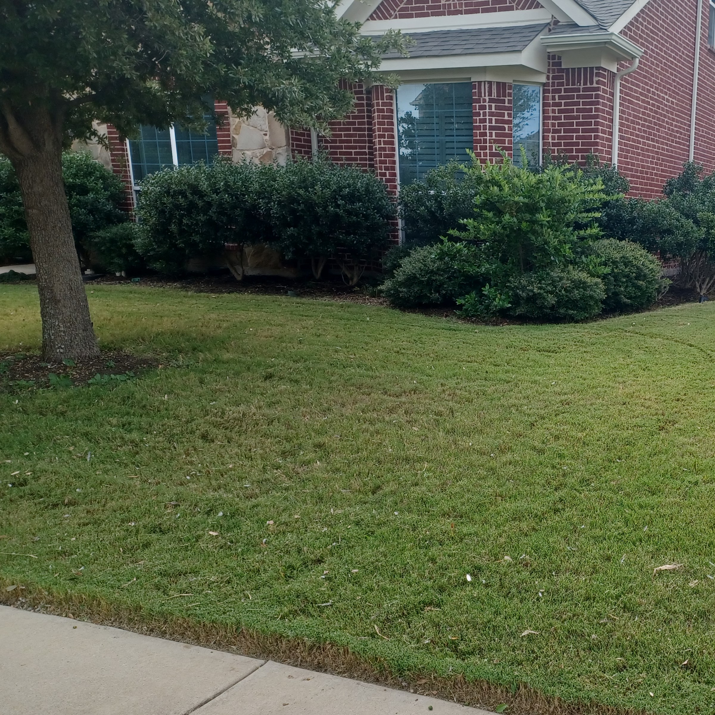 Lawn Mowing Contractor in Wylie, TX, 75098