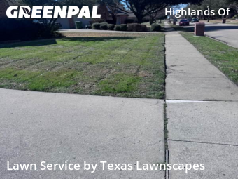 Lawn mowed in Plano, 75025