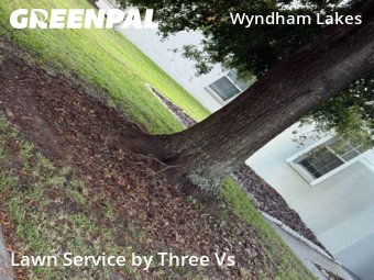 Lawn Services in Odessa, 33556, Property Maintenance by Three Vs , work completed in Oct , 2025