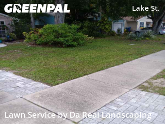 Grass Cutting nearby Palm Harbor, FL, 