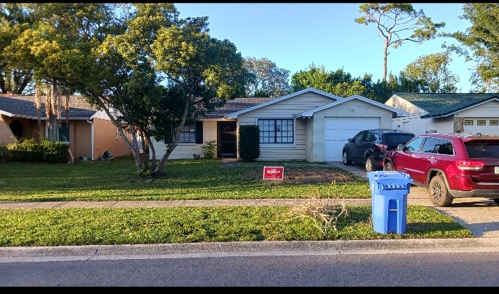 Yard Mowing nearby Citrus Park, FL, 