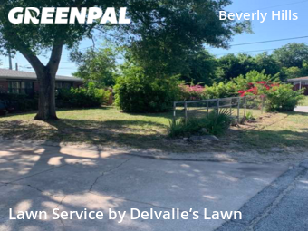 Lawn Cut nearby Daytona Beach, FL, 
