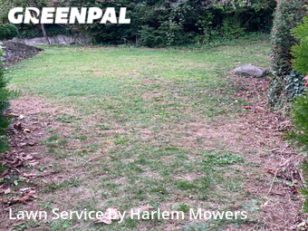 Affordable Landscaping Maintenance Services In Yonkers,10710,Landscape Design by Harlem Mowers, work completed in Oct , 2025