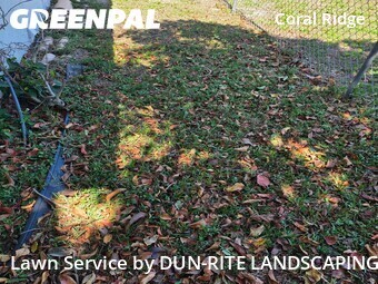 Lawn Mowing nearby Fort Lauderdale, FL, 