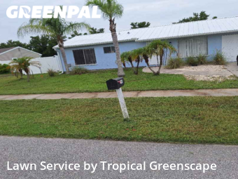 Grass Cut nearby North Port, FL, 