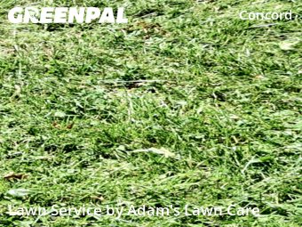 Yard Mowing nearby St. Louis, MO, 