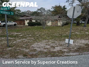 Grass Cut nearby Spring Hill, FL, 