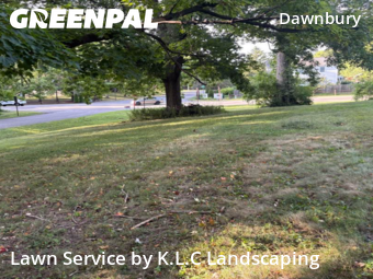 Lawn Mow nearby Indianapolis, IN, 