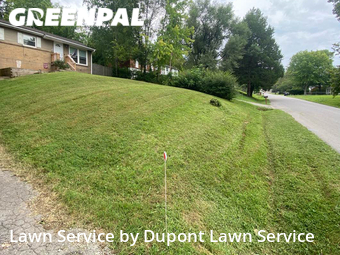 Lawn Mow nearby Clarksville, TN, 