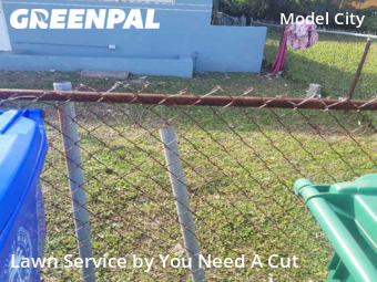 Lawn Cut nearby Miami, FL, 
